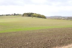 Hoe Hill