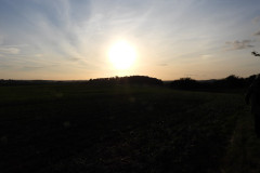 Winter sun