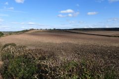 The fields have been cleared for planting