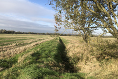 Ditches