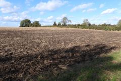 October Soil