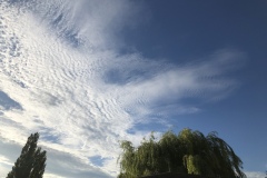 Cloud